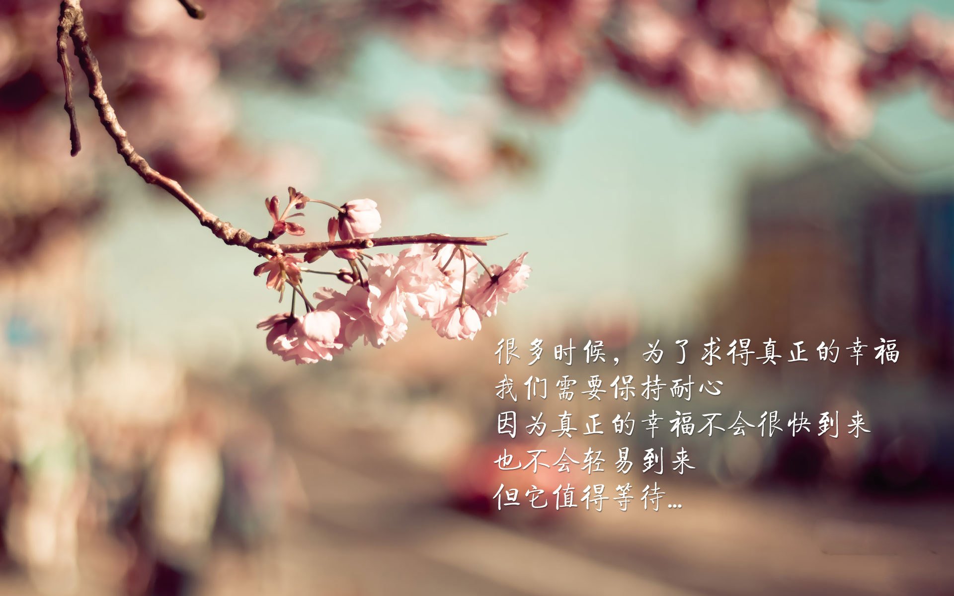 完美拉文撕裂高原神话，76人爆冷背后是团队的胜利