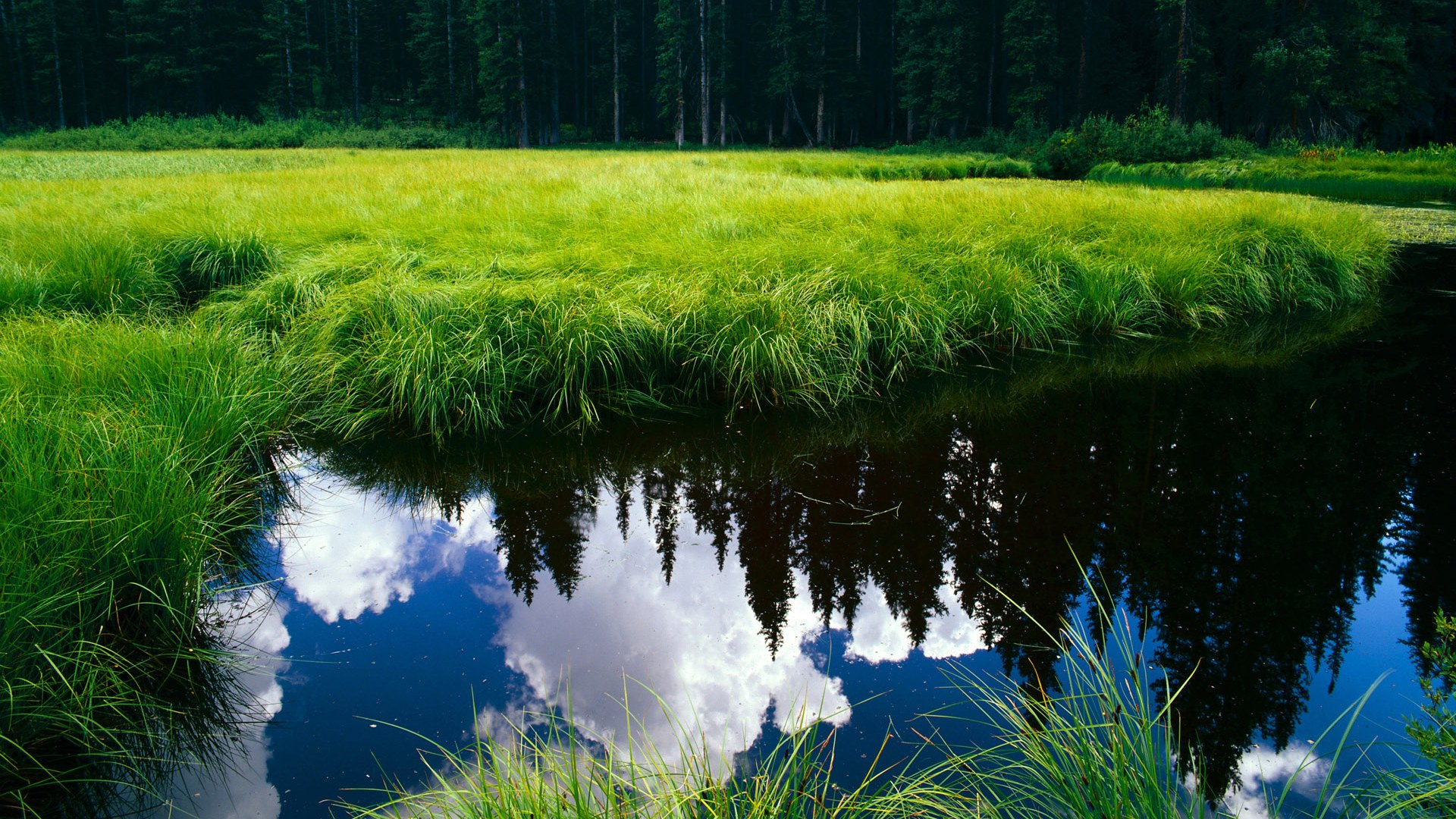 戈麦斯闪电两连击，贝蒂斯主场击溃乌拉圭