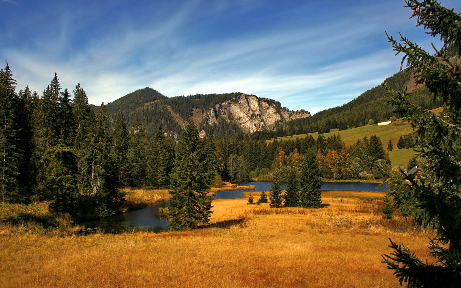 高能之夜，莱奥狂飙，足球灵魂在美加墨的球场上起舞