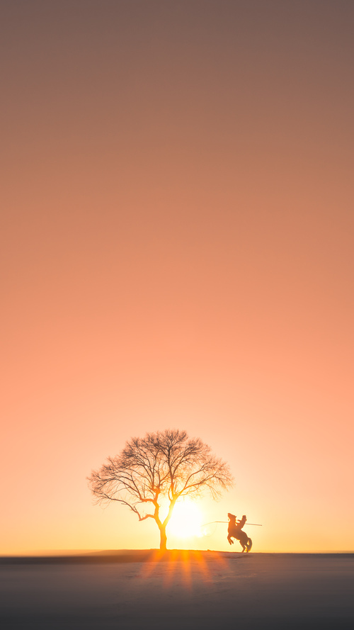 开云体育平台APP-西甲国家德比之夜，铁血防线与温情时刻，卡瓦哈尔的500场传奇