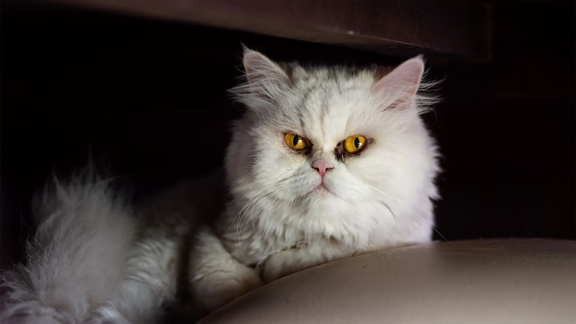 钢铁洪流与一道奇迹闪光，萨拉赫如何刺穿西班牙的完美压制