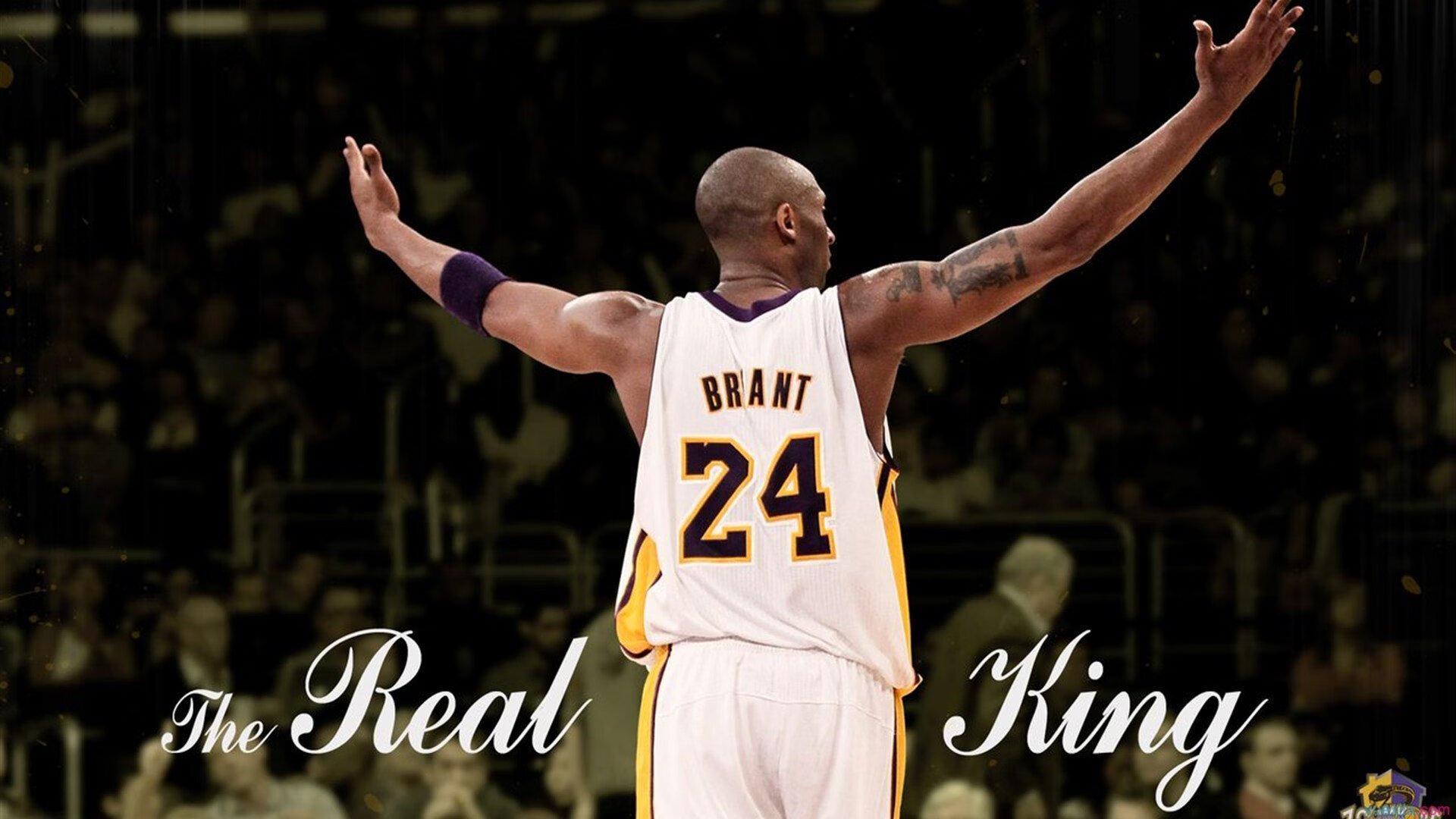 开云体育登录-掘金主场力克魔术！新援霍勒迪成制胜奇兵