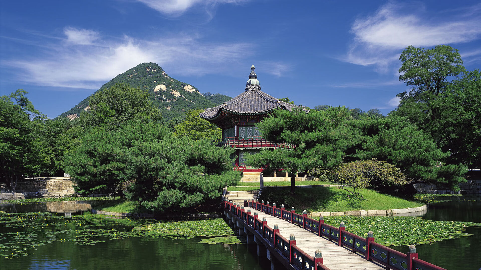 开云平台-深圳速度带走雷霆，库里定律，舞台越大，越强者为神