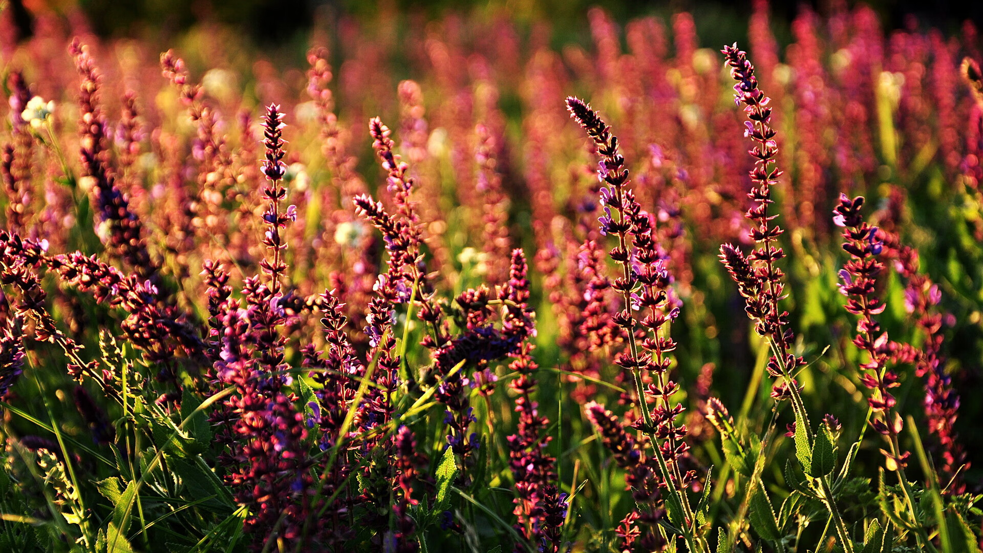 开云APP-从寒冰到火焰，拉文末节19分导演马刺史诗逆转