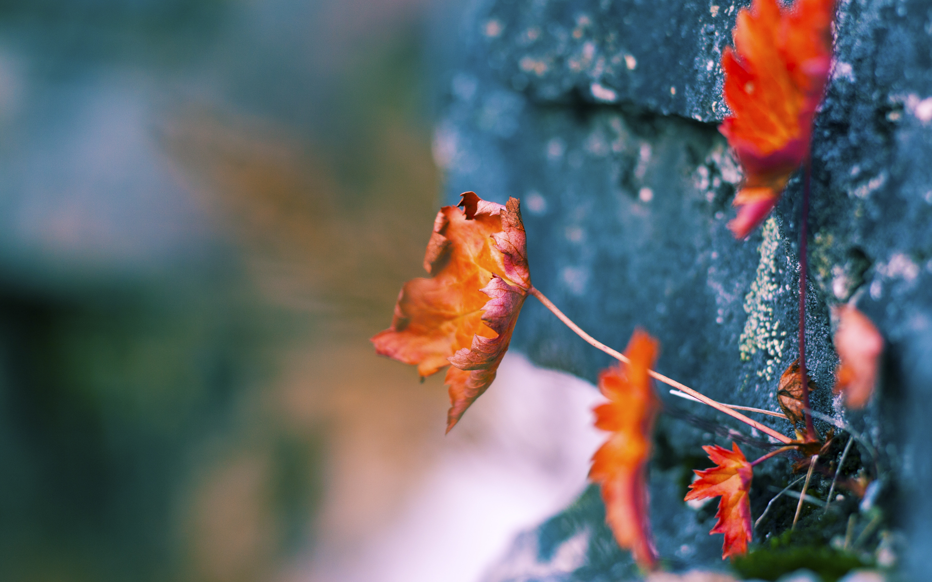开云体育下载-骑士铁蹄踏平奇才！字母哥50+20史诗一战成教科书