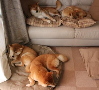 开云体育登录-利拉德一剑封喉！热火巅峰对决惊险胜出步行者