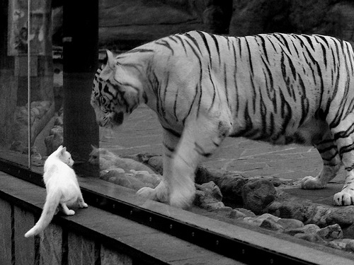 开云体育app-尼斯力克丹麦劲旅，金玟哉关键先生闪耀全场