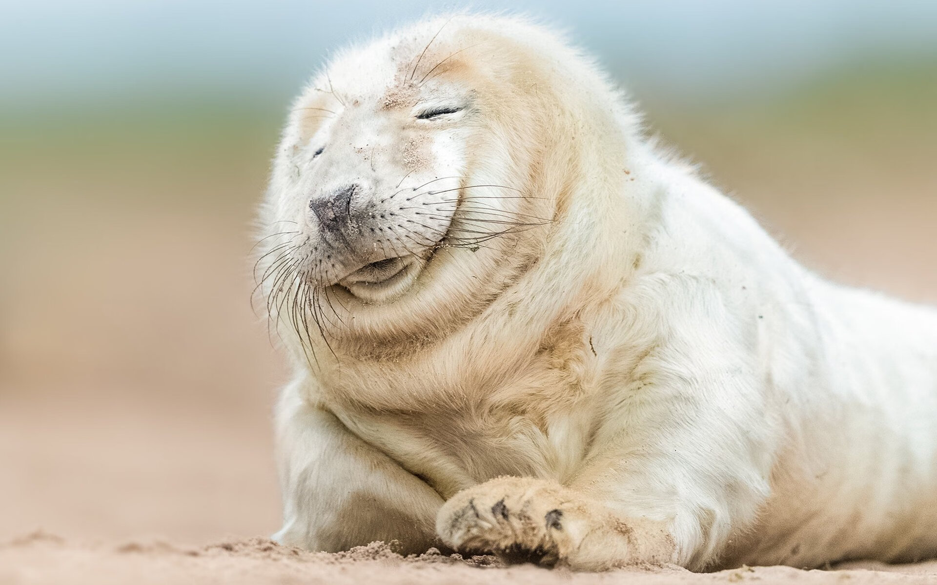 尤文力克丹麦劲旅，萨卡闪耀展现超凡个人能力