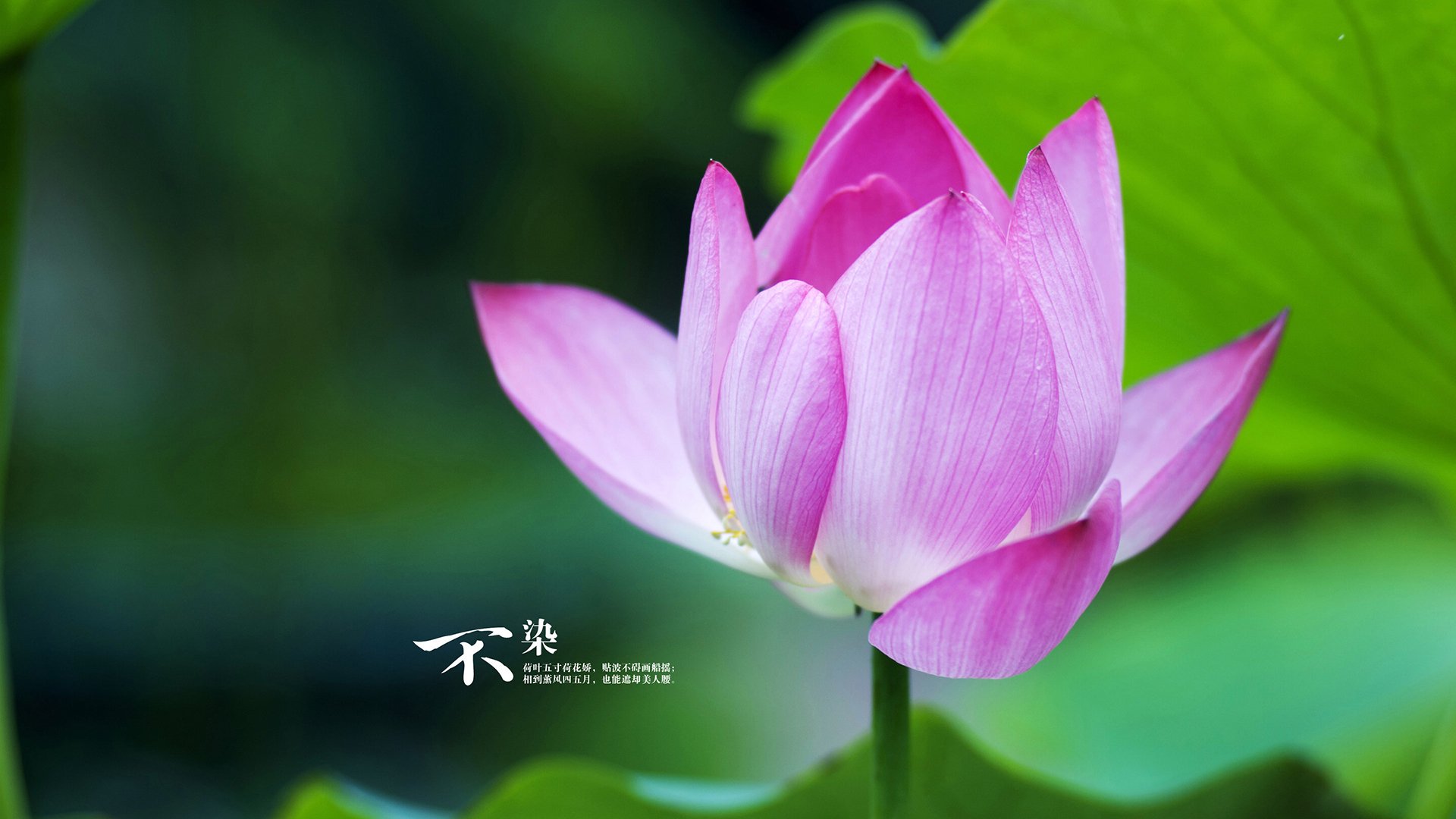 开云体育官网-长城与快船，当杜兰特在东方战术迷宫中爆发