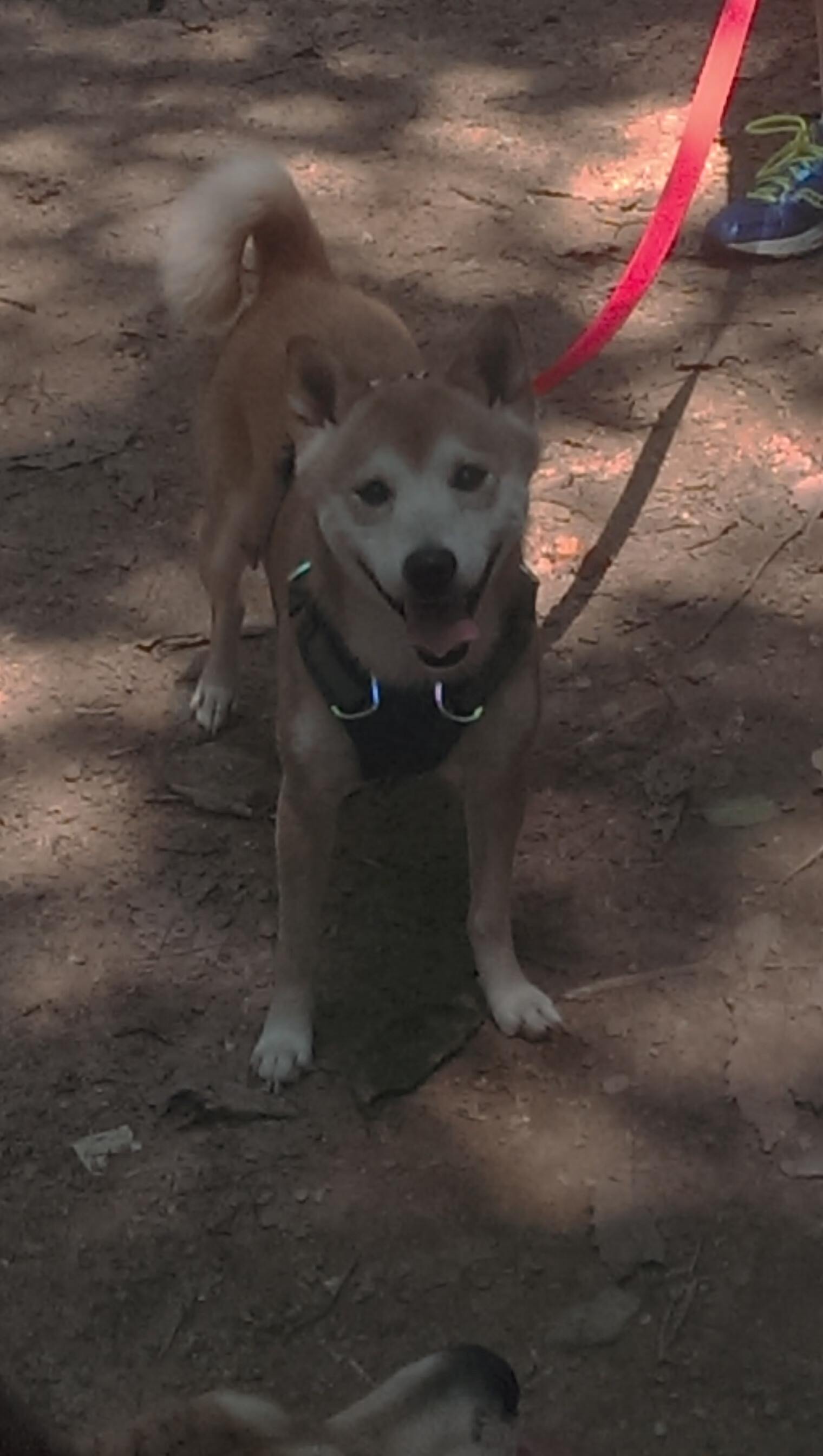 开云体育平台APP-穆勒无解之谜，波兰加时鏖战击退摩纳哥